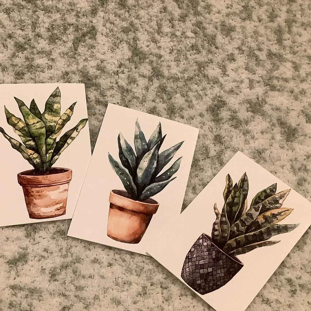 Green Plants Watercolor Variety Note Cards Set of Six NWT 4.25x5.5” - Picture 8 of 13